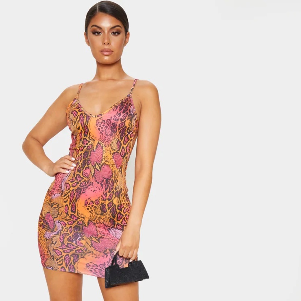 Pretty Little Thing Dress